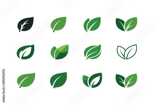 Organic Leaf Icons. Raw. Icon set. Set Logo of Raw: unprocessed organic leaf. harmonious logo variations of the same emblematic concept, each with different