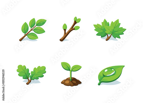 Spring Leaf Icons. Spring leaf & branch sets. Isometric flat vector icons set of Spring leaf & branch sets: fresh green leaf branch, budding twig branch, soft