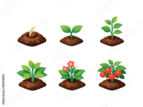 Plant Growth Icons. Growth. Isometric flat vector icons set of growth: seed in soil, sprout with two leaves, young plant, leafy plant, flowering plant,