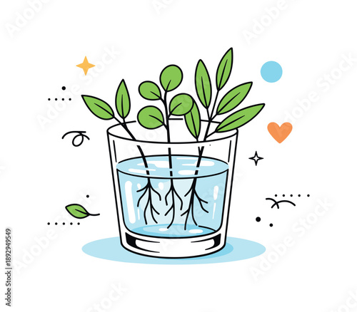 Calm Botanical Cuttings. Plant cuttings in glass. Fresh green plant cuttings placed in a clear glass with visible water, calm indoor gardening mood. Soft