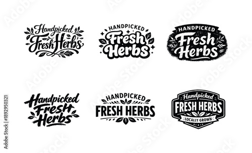 Herb Lettering Variations. Handpicked Fresh Herbs. Set lettering. harmonious lettering variations of the same emblematic concept, each with different artistic