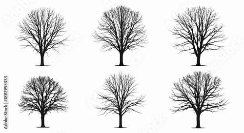 Six bare winter tree silhouettes branches