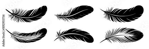 Six stylized black feather silhouettes arranged in a rhythmic pattern against an off‑white background, evoking lightness and elegance. featuring silhouette, vector, illustration with minimalistic and