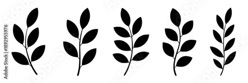 Black silhouette branches arranged in a geometric pattern, minimal line art in a single monochrome style, conveying calm simplicity and natural elegance.