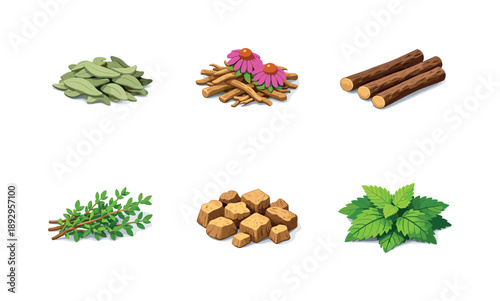 Medicinal Herbs Grid. Undersea Nature. Solid icon set of Undersea Nature: branching coral, soft coral bush, kelp leaves, reef rock base, sea sponge, anemone