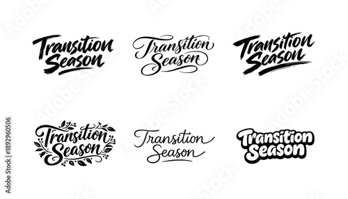 Seasonal Lettering Styles. Transition Season Lettering. Set lettering. harmonious lettering variations of the same emblematic concept, each with different