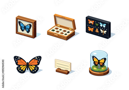Colorful Insect Display Grid. Insect Display. Isometric flat vector icons set of Insect Display: framed butterfly with glass, open box of specimens, black