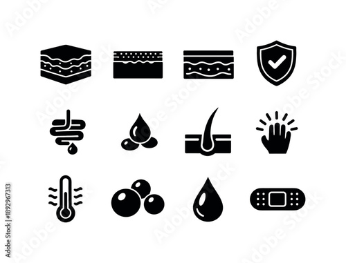 Skin Function Icons. The function of the skin. Solid icon set of the function of the skin: skin layers, epidermis icon, dermis icon, protective barrier shield,