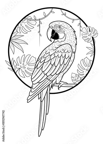 Hand drawn black and white parrot perched on branch within tropical leaf circular frame. Isolated transparent background ( include cut-out PNG file )