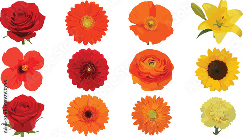 Colorful flowers including roses gerbera daisies lilies and sunflowers