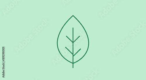 Simple Green Leaf Icon on Light Green Background.