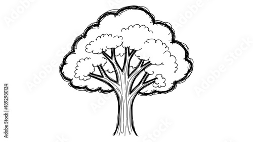Simple Hand Drawn Tree Illustration with Lush Foliage.