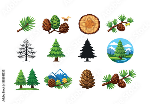 Larch Botanical Icons. Botanical larch elements. Colorful flat vector icons set of botanical larch elements: needle bundle, botanical cone study, tree ring