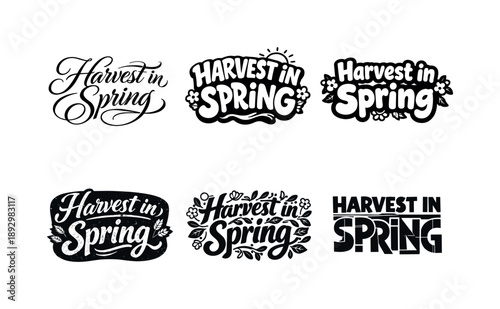 Spring Harvest Lettering Variants. Harvest in Spring. Set lettering. harmonious lettering variations of the same emblematic concept, each with different