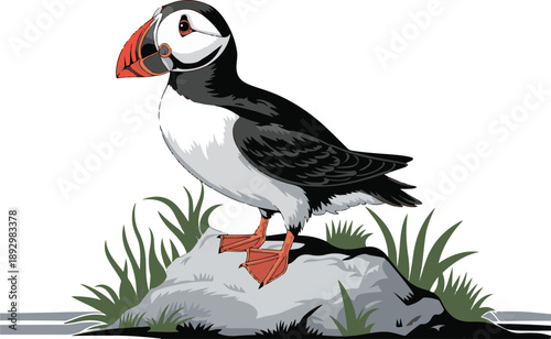 Seabird Puffin Flat Design Vector Art
