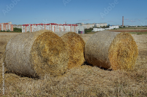 round straw bales in a field outside the city