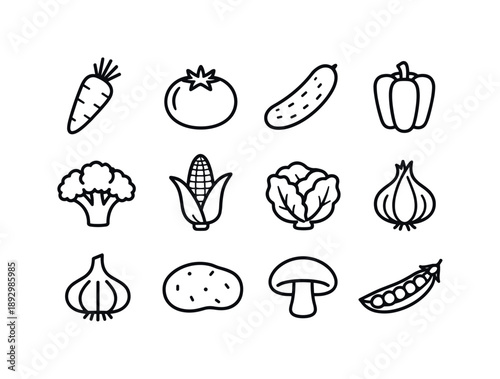 Vegetable Icon Set. Vegetables. Line icon set of vegetables: carrot, tomato, cucumber, bell pepper, broccoli, corn cob, lettuce head, onion, garlic, potato,