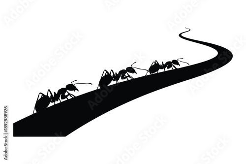 Ants Marching in Formation Silhouette
