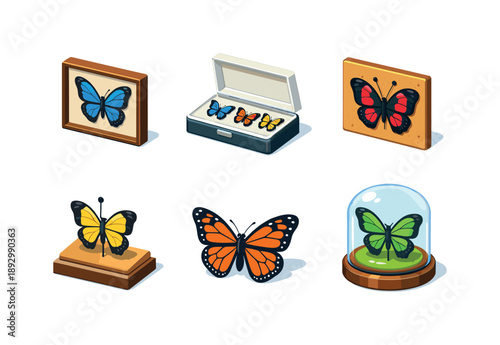 Colorful Butterfly Display. Butterfly Specimen. Isometric flat vector icons set of Butterfly Specimen: framed butterfly display, open specimen box, pinned
