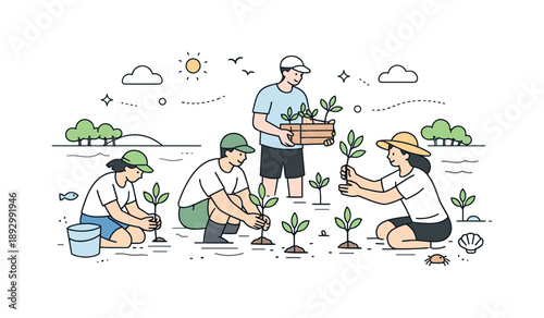 Mangrove Planting Together. Mangrove restoration. Volunteers planting young mangrove trees along a calm shoreline, working together with gentle movements. The