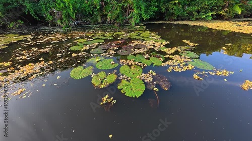 Sunrise river journey in Sri Lanka
