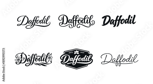 Daffodil Lettering Variations. Hand-painted daffodil brush script. Set lettering. harmonious lettering variations of the same emblematic concept, each with