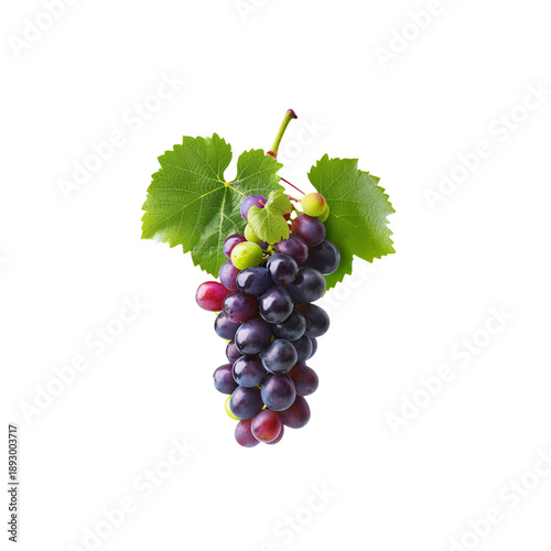 Fresh purple grape bunch with green leaves isolated on white background