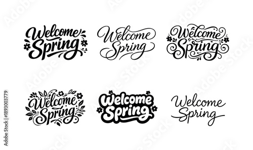 Spring Lettering Variations. Welcome Spring. Set lettering. harmonious lettering variations of the same emblematic concept, each with different artistic