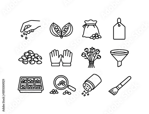 Seed Collection Icons. Seed Collection. Line icon set of Seed Collection: hand picking seeds, seed pods open, collection bag, label tag, harvested seeds,