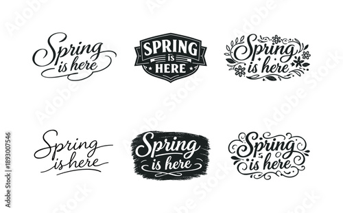 Spring Lettering Variations. Spring is here script. Set lettering. harmonious lettering variations of the same emblematic concept, each with different artistic