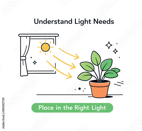 Optimal Plant Lighting Guide. Plant health tips. A plant placed near a window with soft sunlight icons and gentle arrows indicating proper light direction. The