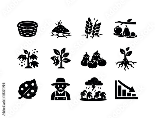 Harvest Loss Symbols. Harvest Loss Icons. Solid icon set of Harvest Loss Icons: empty basket, dry grain, cracked wheat, fallen fruit, crop blight, infested