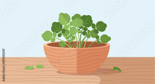 A healthy green plant in a wooden pot on a wooden surface