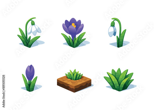 Snowdrop & Crocus Icons. Snowdrop & Crocus Icons. Isometric flat vector icons set of Snowdrop & Crocus Icons: snowdrop flower bloom, crocus flower bloom,