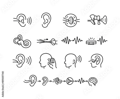 Hearing Process Icons. Hearing and Sound Waves. Line icon set of Hearing and Sound Waves: sound waves entering ear, outer ear capture, eardrum vibration,