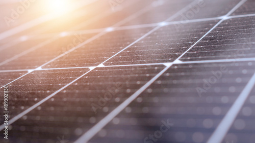 Close up of photovoltaic solar cell texture under warm golden hour sunlight, illustrating sustainable renewable energy power generation and modern eco-friendly technology industry concept.