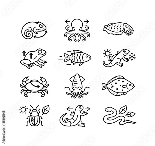 Color Change Icons. Color Change Camouflage. Line icon set of Color Change Camouflage: chameleon shift, octopus change, cuttlefish pattern, frog