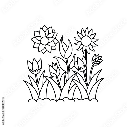 Beautiful flowers and plants growing in a garden with green leaves