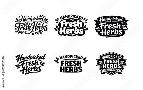 Herb Lettering Variations. Handpicked Fresh Herbs. Set lettering. harmonious lettering variations of the same emblematic concept, each with different artistic