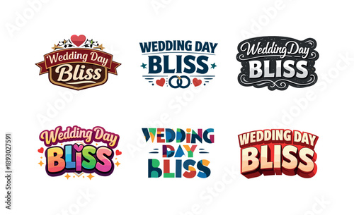 Wedding Lettering Styles. Wedding Day Bliss Lettering. Set lettering. harmonious lettering variations of the same emblematic concept, each with different