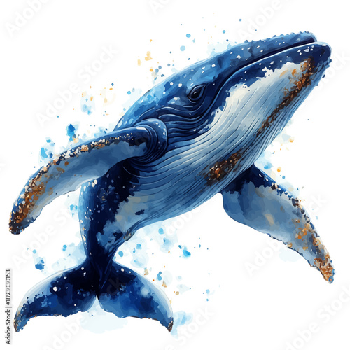 Whale Close Up, watercolor illustration vector, isolated on a white background.
