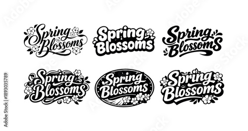Spring Lettering Styles. Spring Blossoms. Set lettering. harmonious lettering variations of the same emblematic concept, each with different artistic