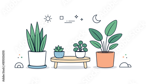 Minimalist Plant Decor. Minimal indoor plant decor. Simple houseplants in modern pots placed symmetrically, expressing balance, freshness, and mindful interior