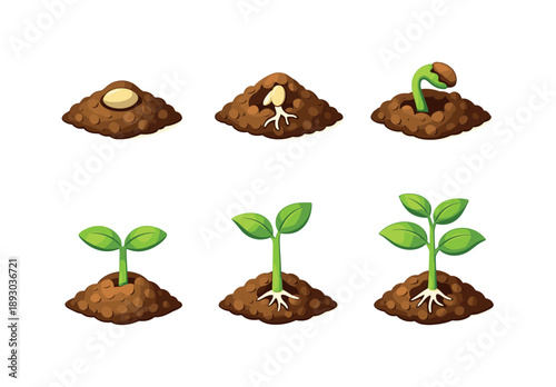 Seedling Growth Stages. Seedling development. Isometric flat vector icons set of Seedling development: soil mound with seed, root emergence, sprout breaking