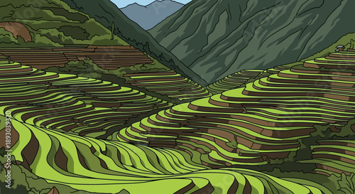 Lush green rice terraces cascade down a mountainous landscape.