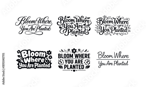 Diverse Bloom Lettering. Bloom Where You Are Planted. Set lettering. harmonious lettering variations of the same emblematic concept, each with different