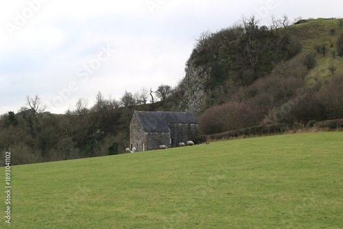 Sheep in British Countryside with Ancient Stone Building