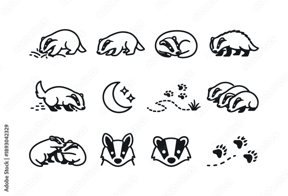 Obraz premium Badger Behavior Icons. Badger Behavior. Line icon set of Badger Behavior: digging badger, foraging pose, sleeping curl, defensive stance, scent marking, night