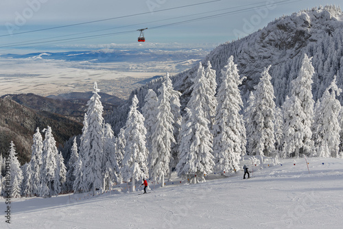 Cuadro en lienzo Admirable winter ski slope with skiers and snow covered pine forest in backgroun