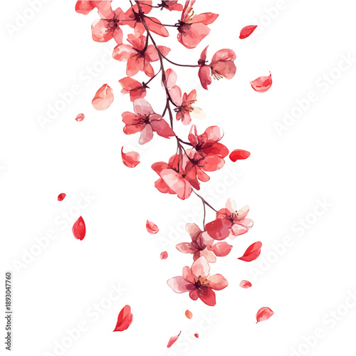 Spring Blossom Petals Falling, colorful watercolor painting with bold outlines, isolated on a white background.